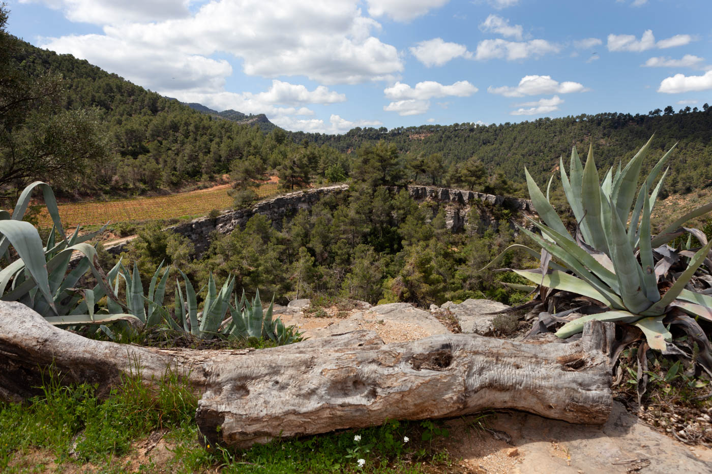 Your holiday home is part of a huge estate